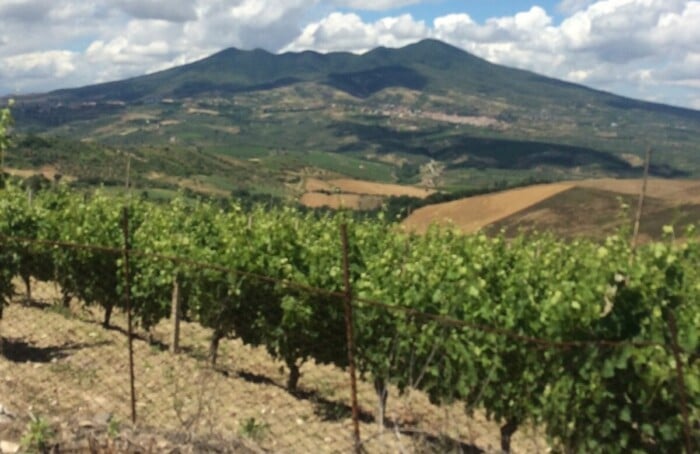 Image Aglianico Del Vulture Vino Lucano Scaled