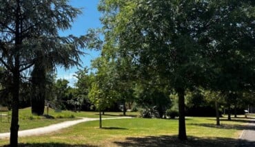 Parco Paul Harris