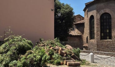 Pini E San Vitale (1) 