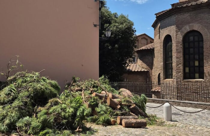 Pini E San Vitale (1)