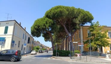 Verde Pubblico Abbattimenti Circonvallazione Sacchetti 