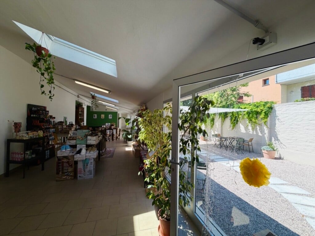 Botanica6