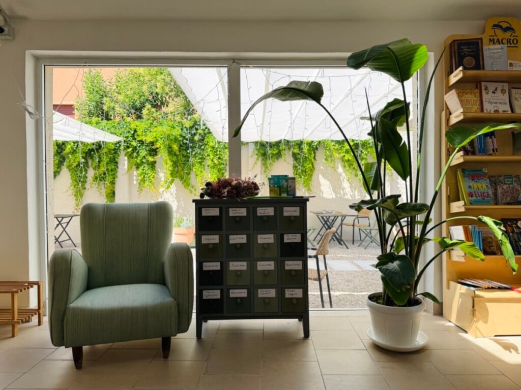 Botanica7