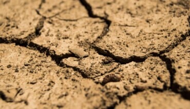 Daeron Drought 780088 1920 