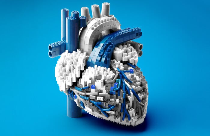 Gvm Cuore