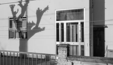 Solo come un albero