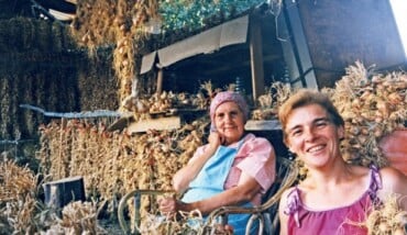 Foto Consorzio Scalogno