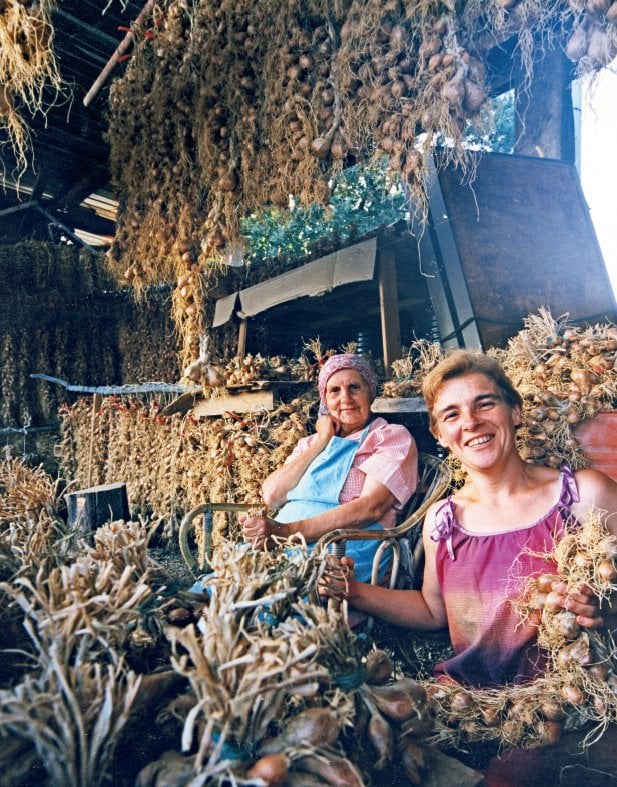 Foto Consorzio Scalogno