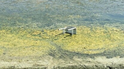Parco Cesarea, la delusione dei residenti: «Sembra un deserto, non c’è mai nessuno»