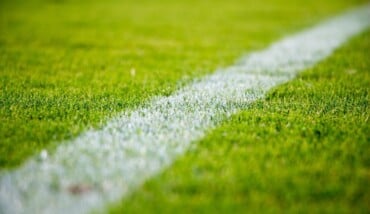 Stocksnap Grass 2616911 1920