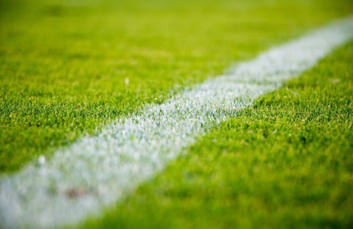 Stocksnap Grass 2616911 1920