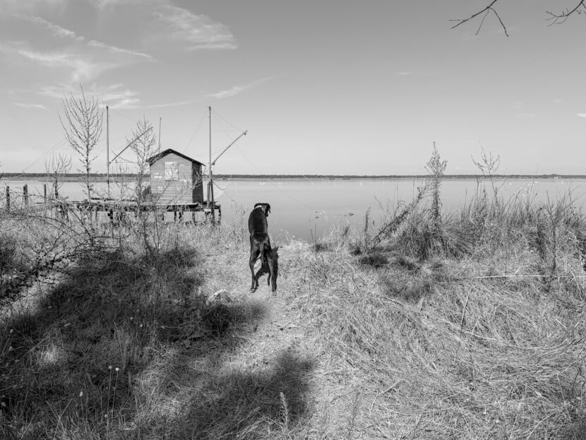 Io, Lola e il paesaggio