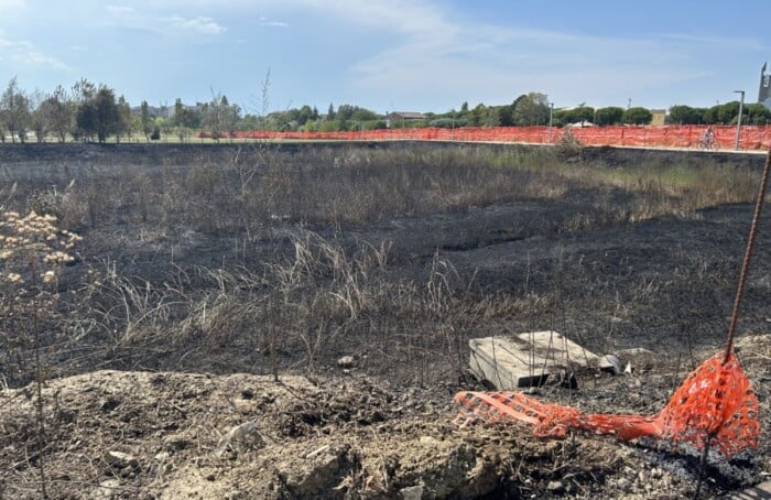 Incendio Parco Cesarea
