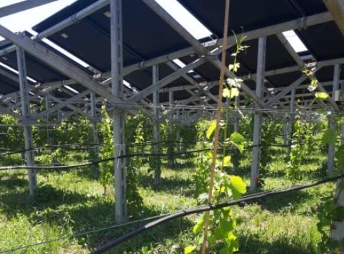 agrivoltaico