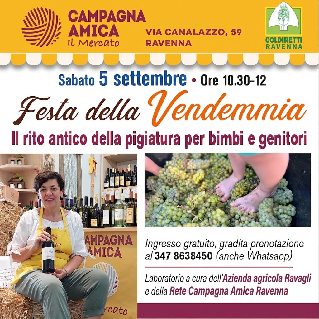 Vendemmia Mercato (2)