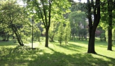 Verde Urbano 