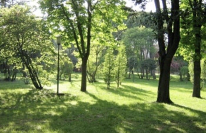 Verde Urbano