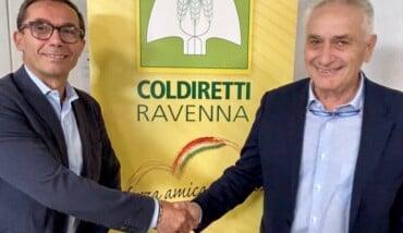 Dalonte E Rosetti 