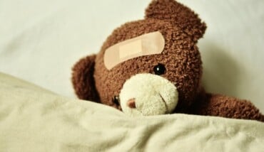 Congerdesign Teddy 3183563 1920 