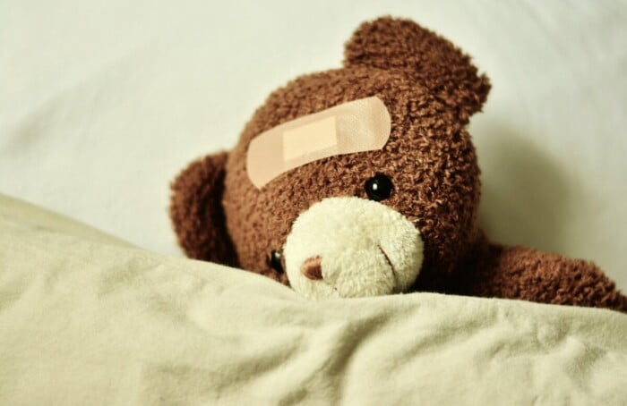 Congerdesign Teddy 3183563 1920