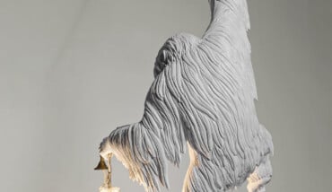 Marcantonio Art Design The Door Was Open Orangutan 06