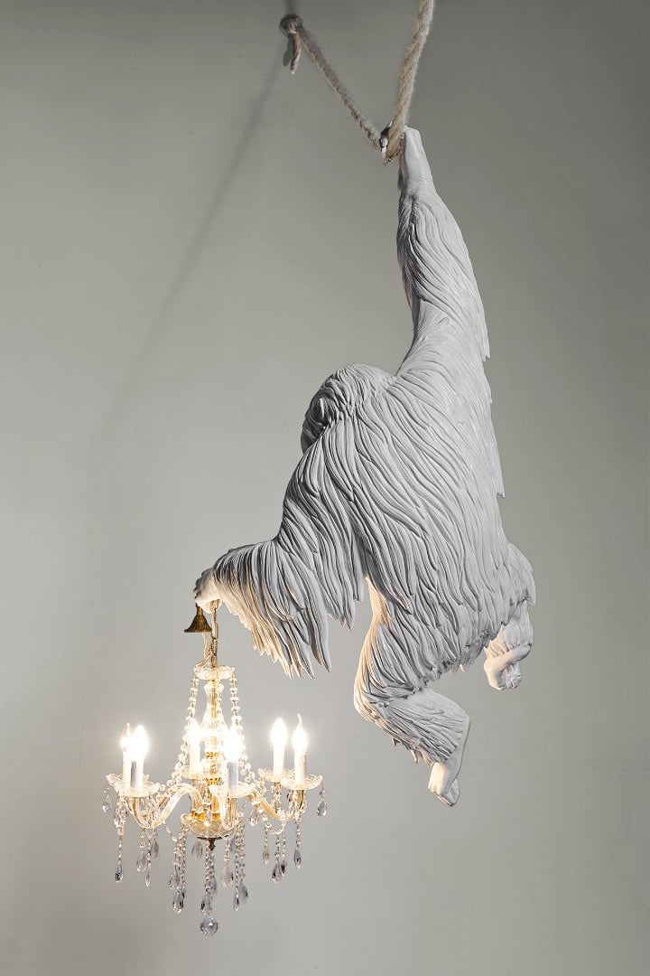 Marcantonio Art Design The Door Was Open Orangutan 06