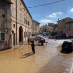 Via Baccarin