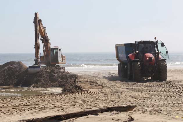 ripascimento spiaggia ravenna