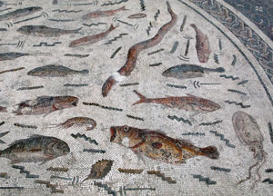 Pesci mosaico del Bardo